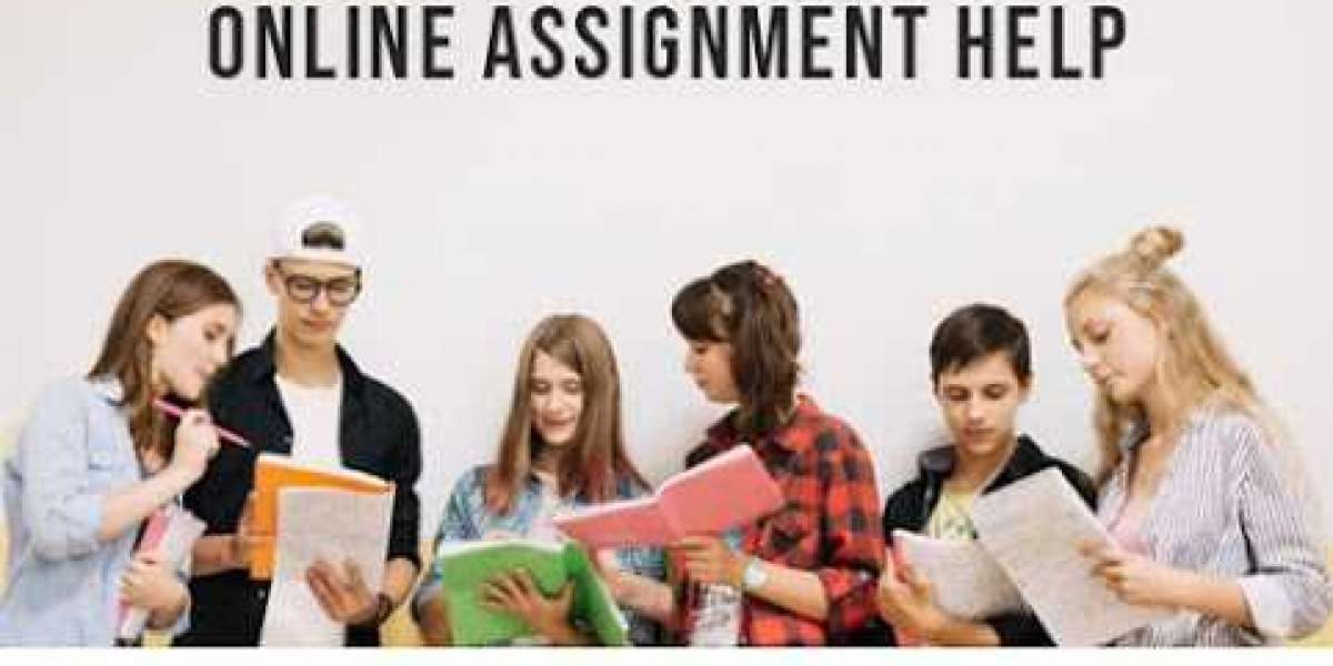 Take the association of assignment help Ireland to outgrow your career
