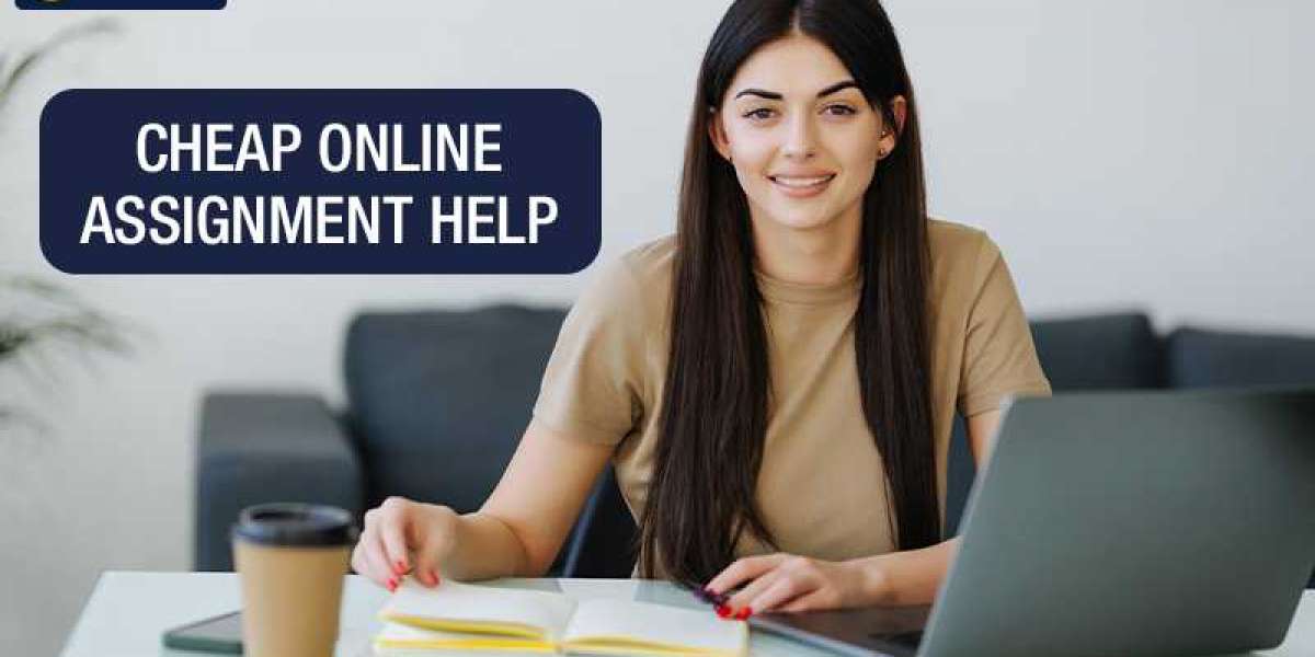 How does assignment help service assist you?