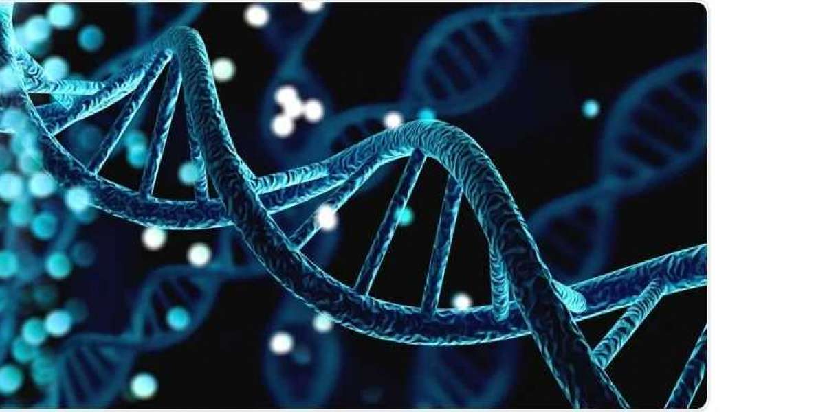 DNA Methylation Market Overview, Merger and Acquisitions , Drivers, Restraints and Industry Forecast By 2030