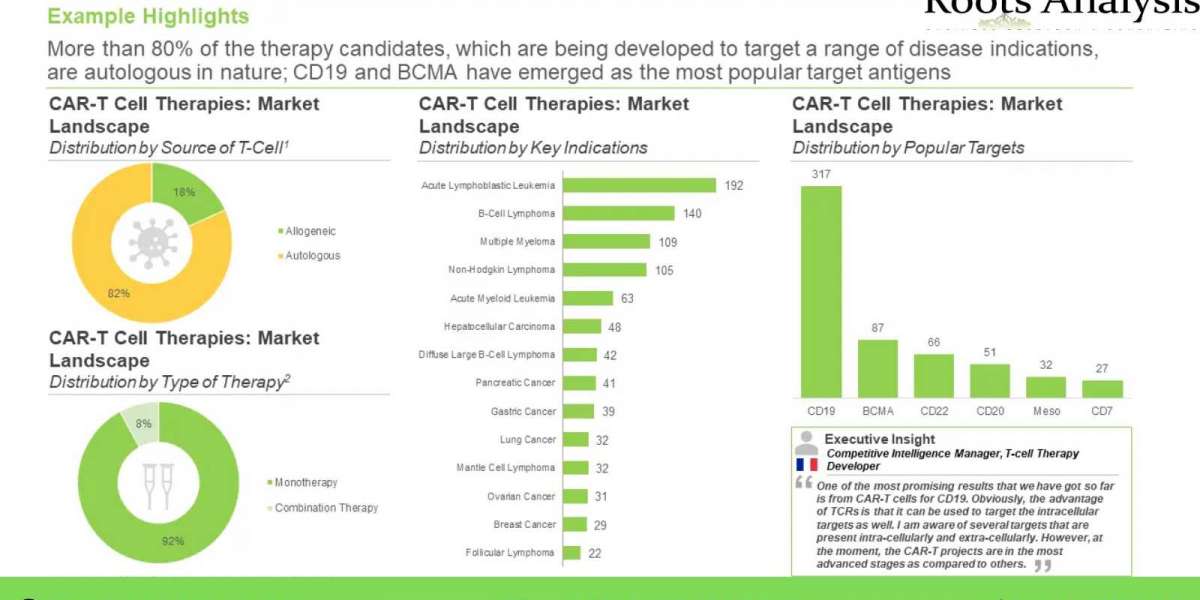 CAR-T Cell Therapies: Addressing Key Unmet Needs Across Various Oncological Indications
