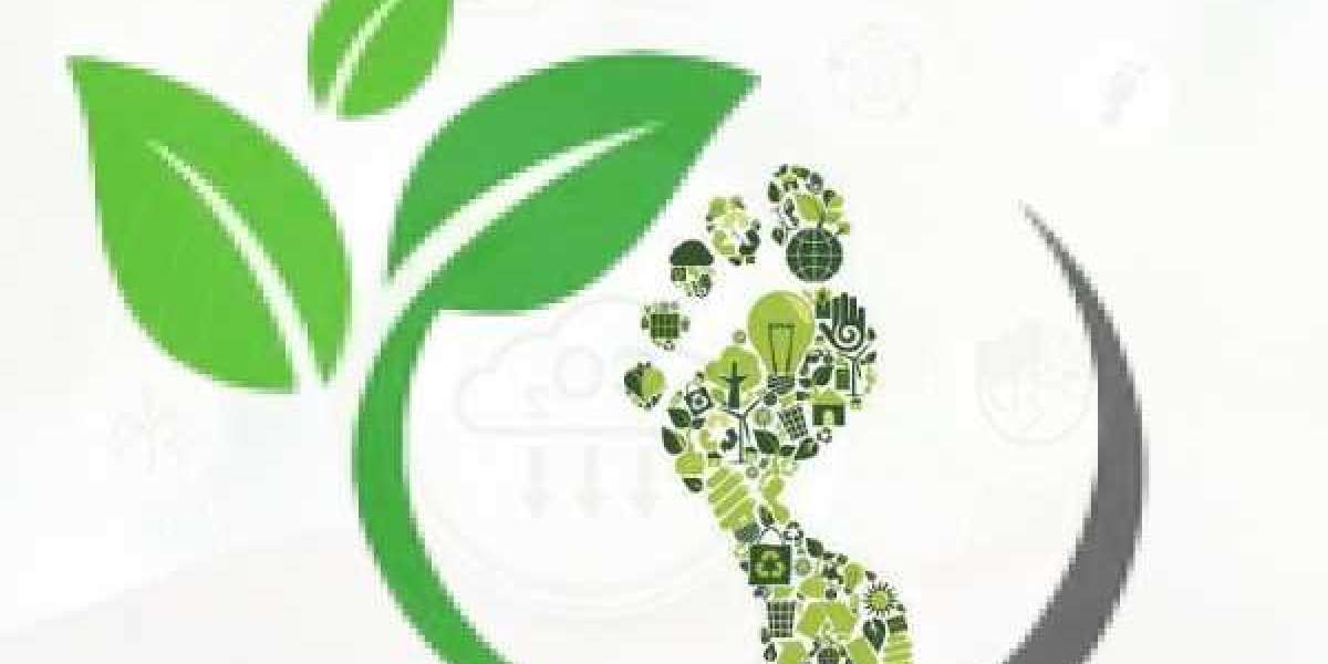 Global Carbon Footprint Management Market Growth Strategy and Industry Development to 2029