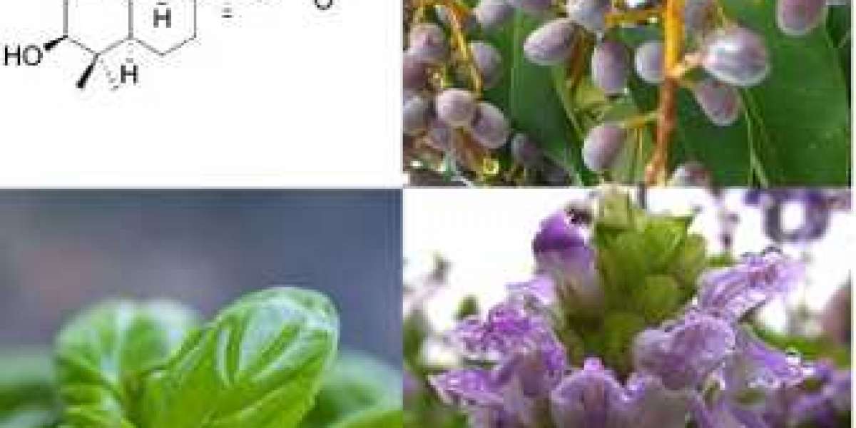 What is the best source of ursolic acid-Nutra Herb