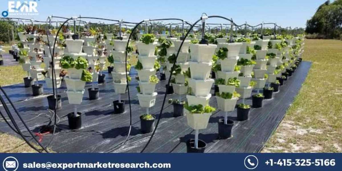 Hydroponics Market Size, Share, Price, Trends, Growth, Outlook, Report, Forecast 2022-2027