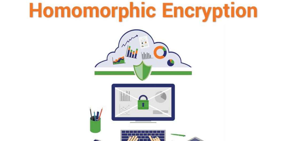 Homomorphic Encryption Market Growing Geriatric Population to Boost Growth 2030