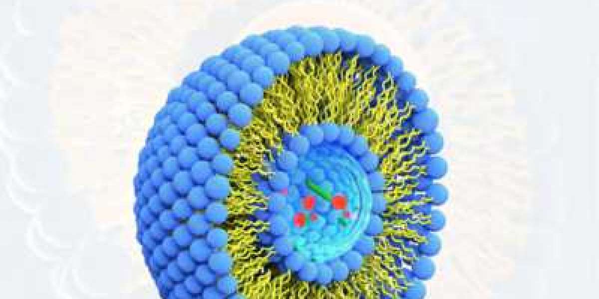 Liposome Drug Delivery Market To Offer Ample Growth Opportunities By 2029