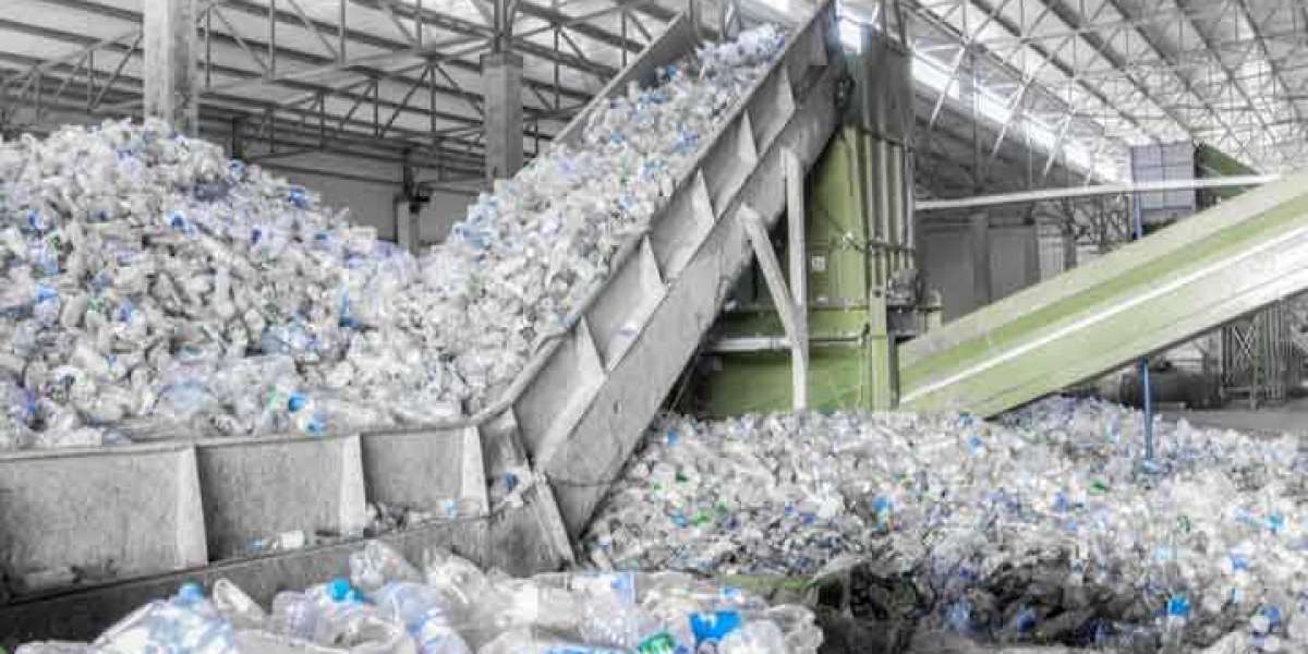 Plastic Recycling Market Key Players and Global Industry Demand by 2031
