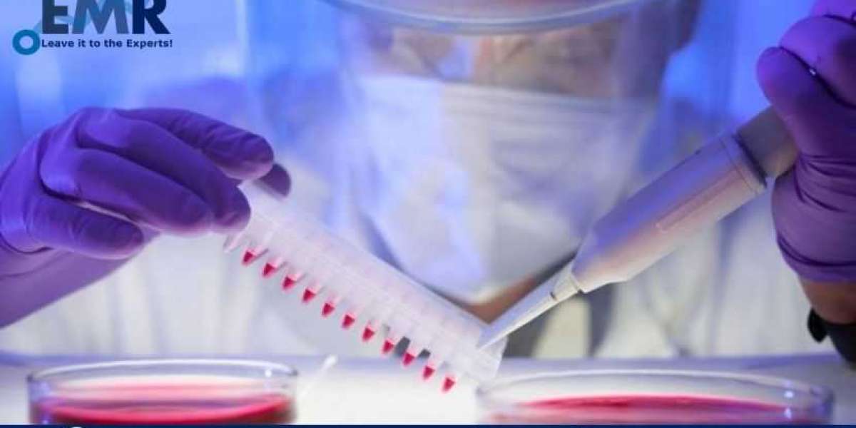 Biological Safety Testing Market Revenue, Size, Share, Growth and Forecast Analysis to 2028