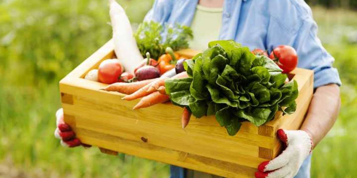 Organic Food Market Size Worth $484.0 Billion Thousand by 2030, Growing with a CAGR of 11.77%.