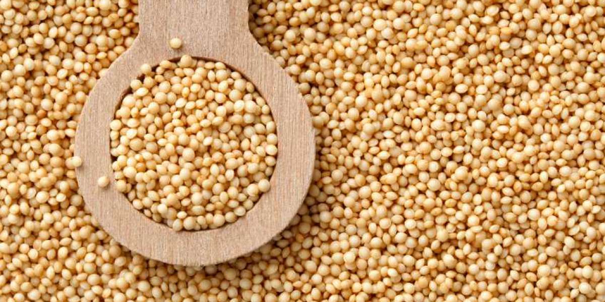 Seed Amaranth Market Size, Demand, Analysis, On-Going Trends, Status, Forecast 2027
