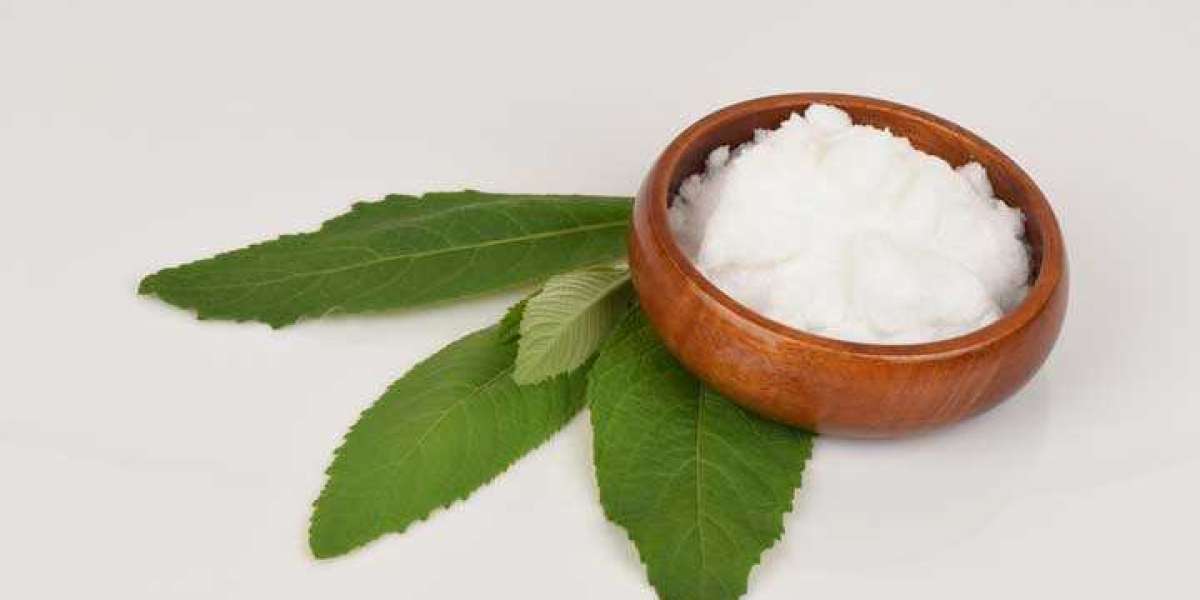 Synthetic Camphor Market in Upcoming Years and How it is Going to Impact on Global Industry