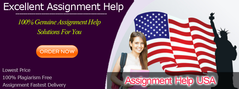 Assignment Help USA | Assignment Writing Service US Online
