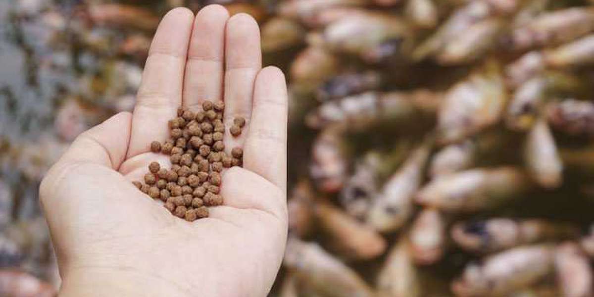 Aquafeed Market Worth to Reach $120,719.70 Mn by 2031 | Top Companies and Industry Growth Insights