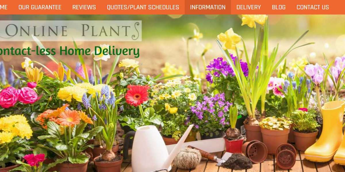 Online Plants – Buy Native Australian Plants Online - Online Nursery