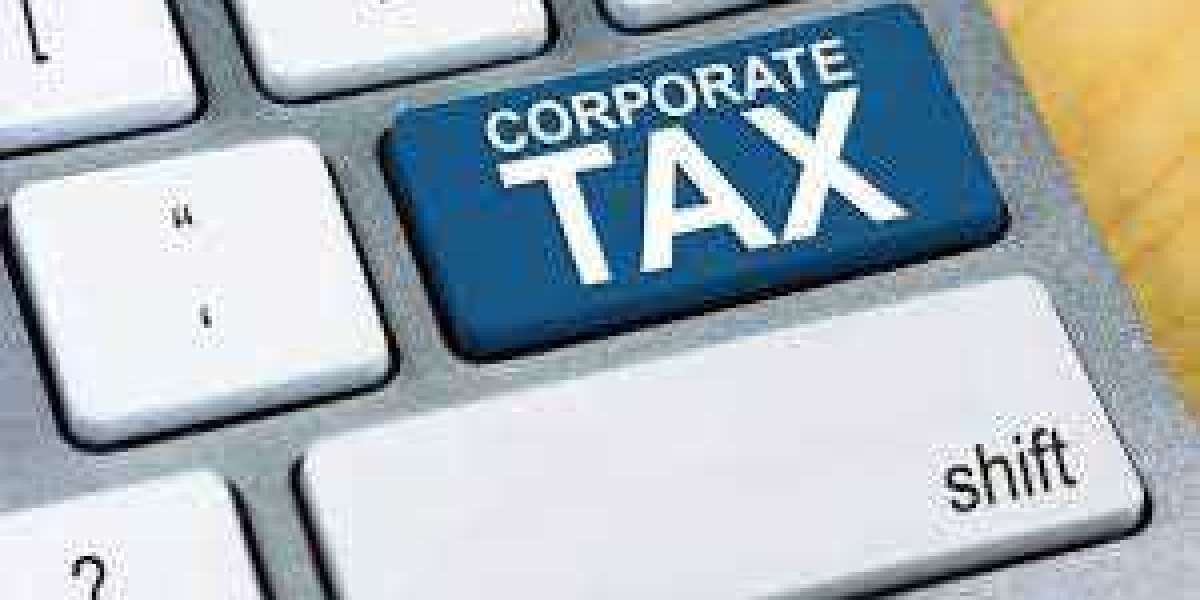 Company Tax Returns: Overview