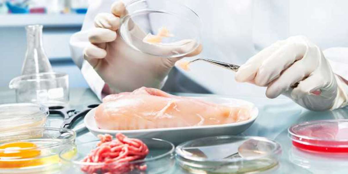 Food Authenticity Testing Market Competition Opportunities, Growth and Forecast by 2028