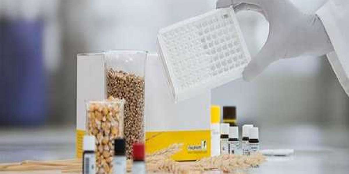 Mycotoxin Testing Market Industry Trends, Development Status and Forecast by 2028