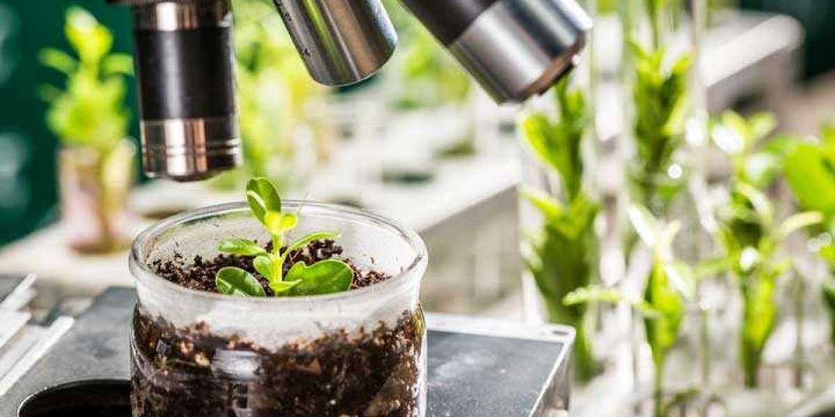 Plant-based Biologics Market in Upcoming Years and How it is Going to Impact on Global Industry