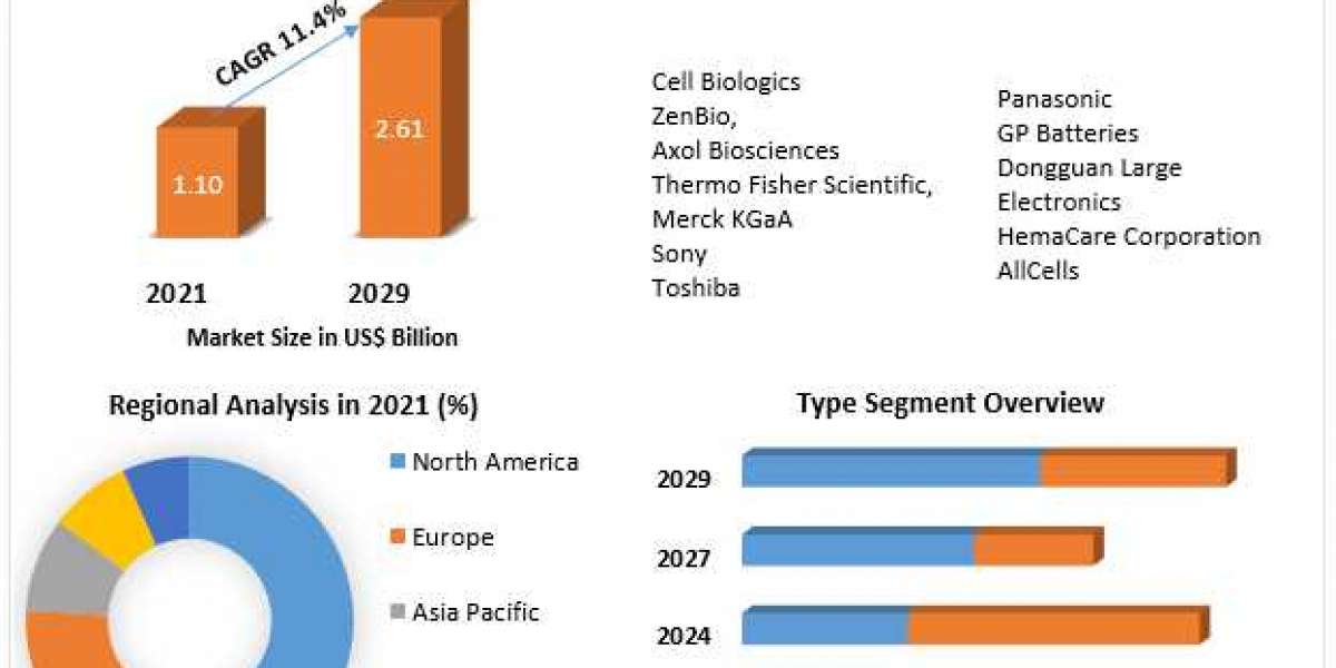 Primary Cells Market Key Player, by type, Segmentation with Competitive Analysis, Top Manufacturers And Forecast 2029