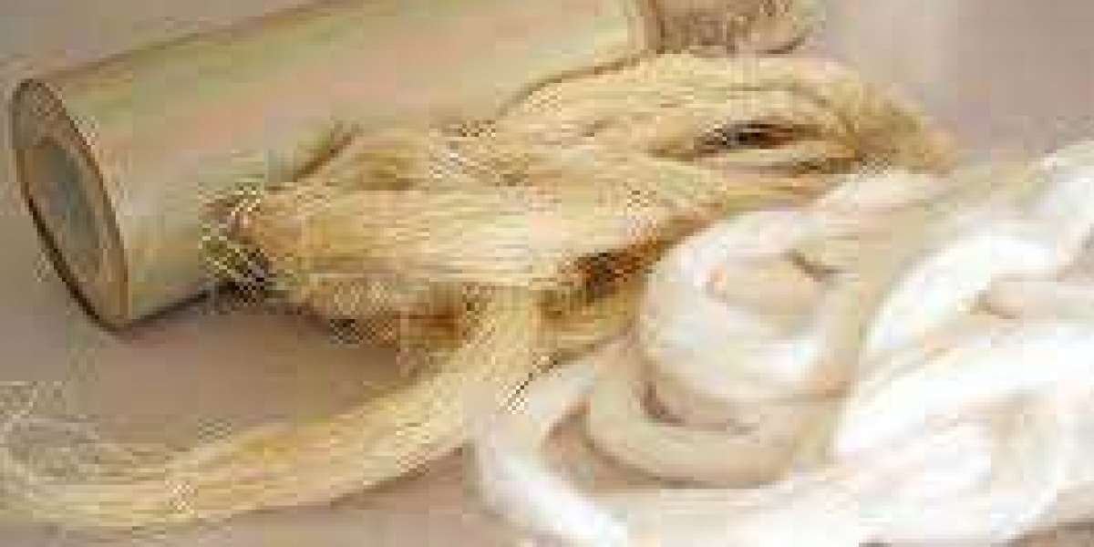 Eco Fibers Market projected to grow at a CAGR of over 6.5% during 2023 to 2030