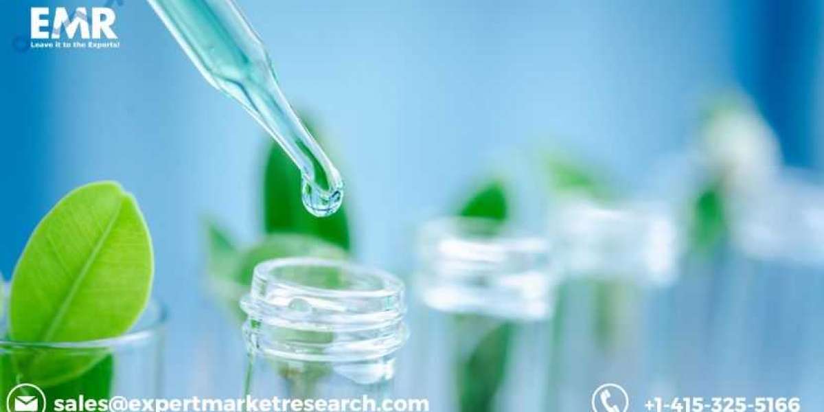 Epichlorohydrin Market - Share, Growth, Trends and Forecasts 2023 - 2028
