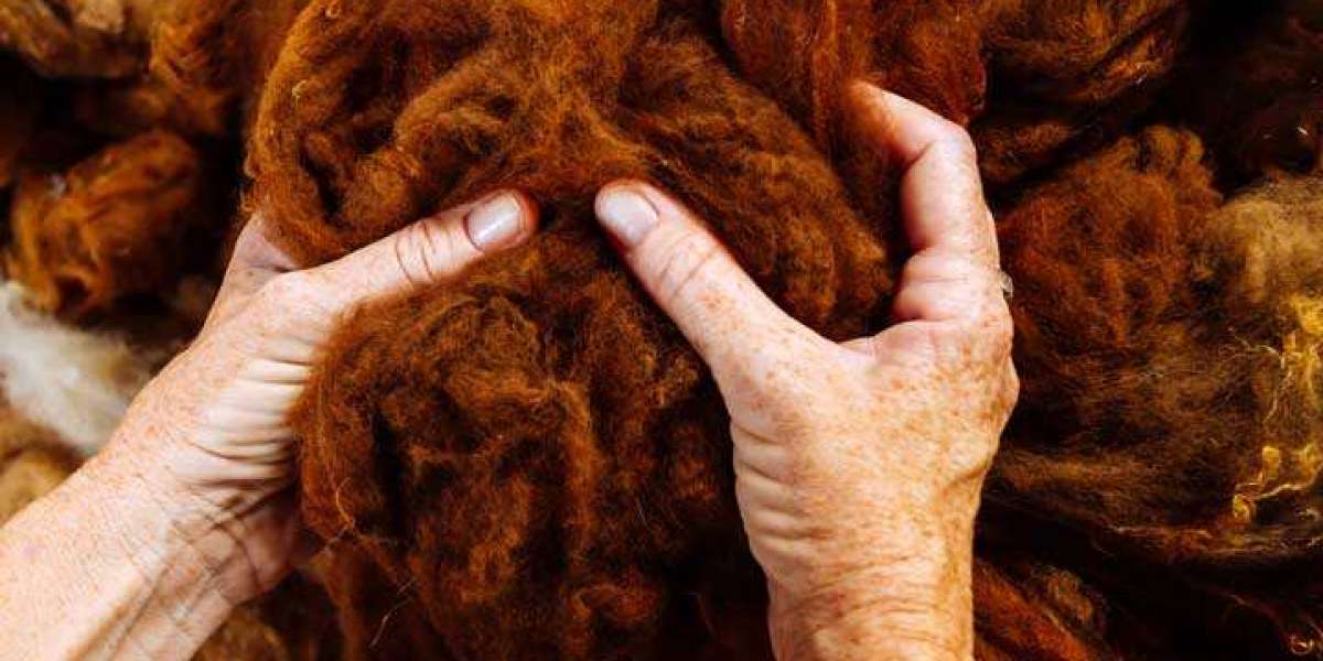 Alpaca Fiber Market Share, Top Manufacturers, Oulook and Forecast by 2030