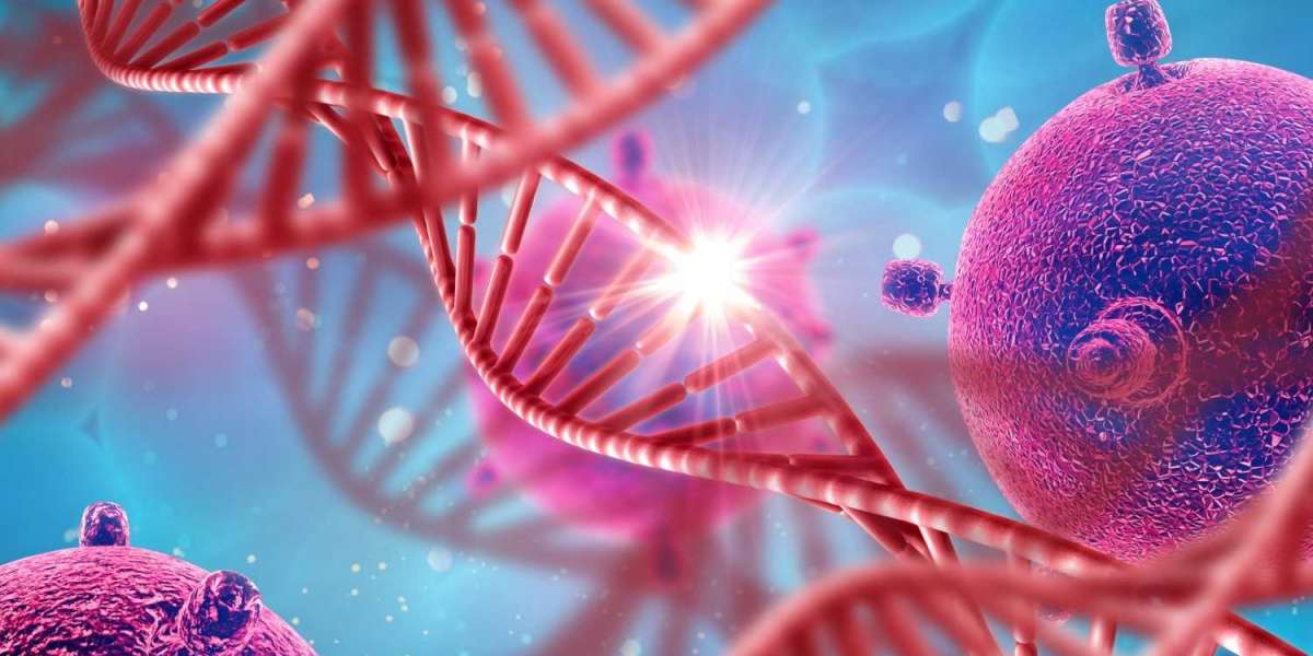 Molecular Oncology Diagnostics Market to increase at an annual CAGR of 11.43% between 2022-2032