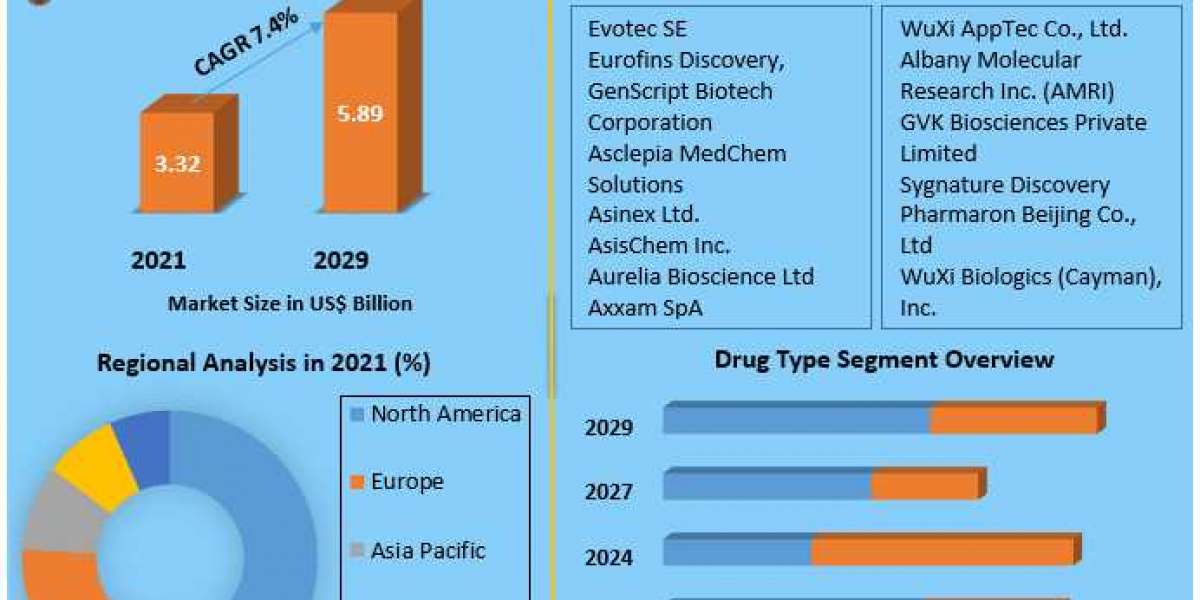 Drug Discovery Outsourcing Market Business Strategies, Revenue and Growth Rate Upto 2029