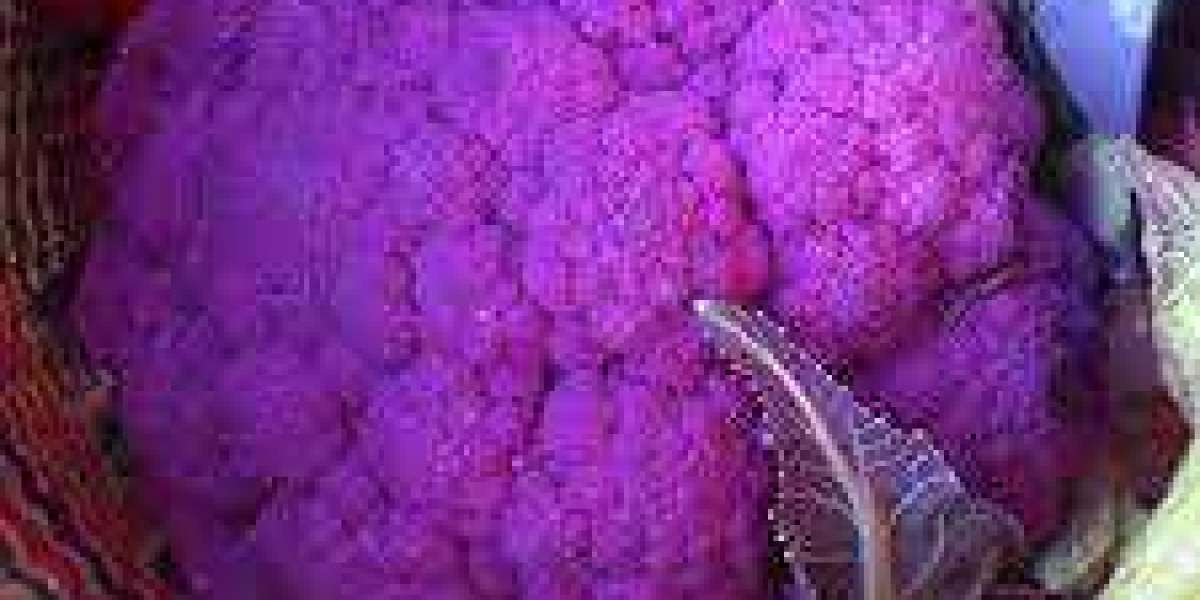 Anthocyanin Market projected to grow at a CAGR of over 2.6% during 2023 to 2030
