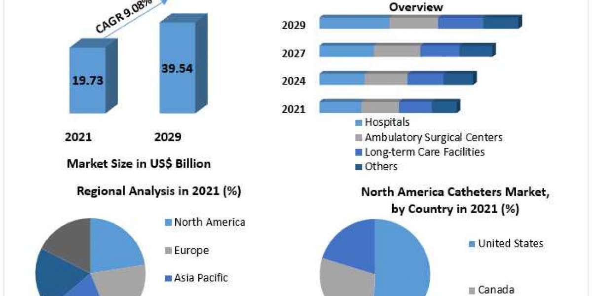 Catheters Market Size, Share, Growth, Demand, Revenue, Major Players, and Future Outlook