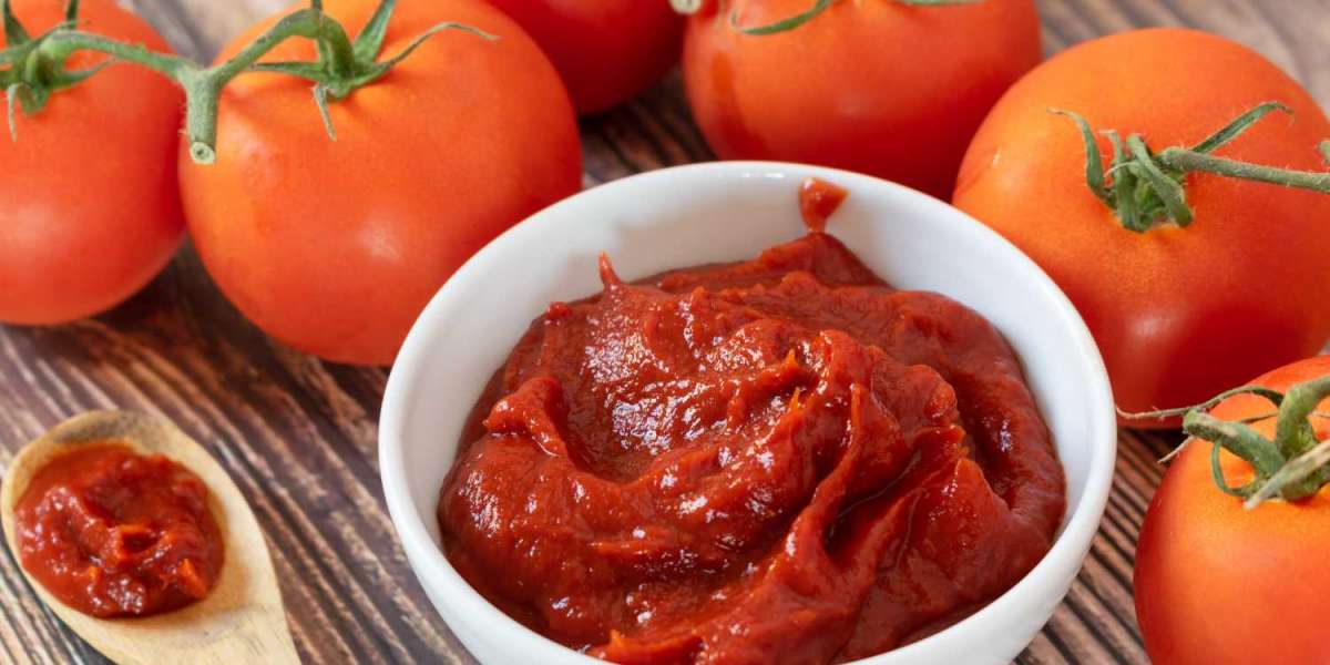 Tomato Processing Market  Growth Prospects, Size, Regional Analysis and Forecast 2028