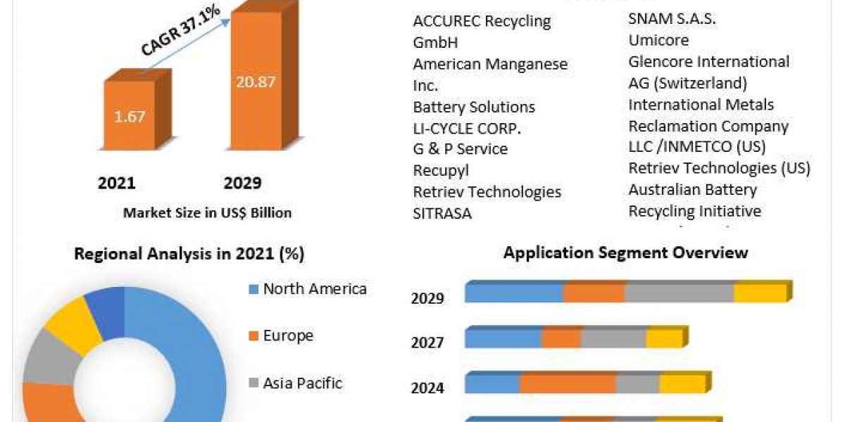 Electric Vehicle Battery Recycling Market Analysis By Types, New Technologies, Applications