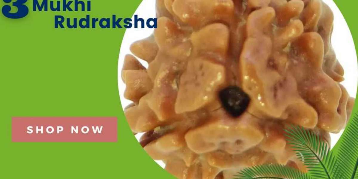 Purifying Your Mind and Body with 3 mukhi rudraksha