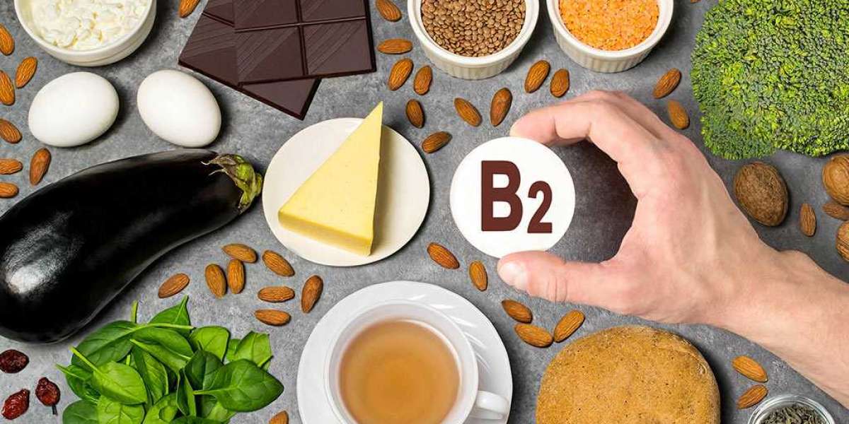 Riboflavin (Vitamin B2) Market Application Analysis, Regional Outlook, Growth Trends, Key Players and Forecast By 2028