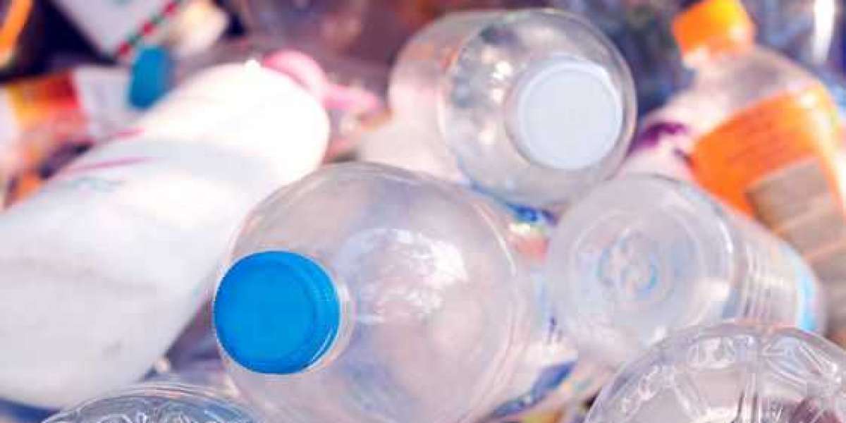 Biodegradable Water Bottle Market Growth by 2028