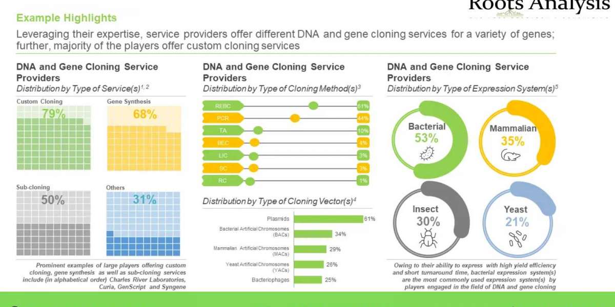 DNA and Gene Cloning Services market Size, Share, Trends by 2035