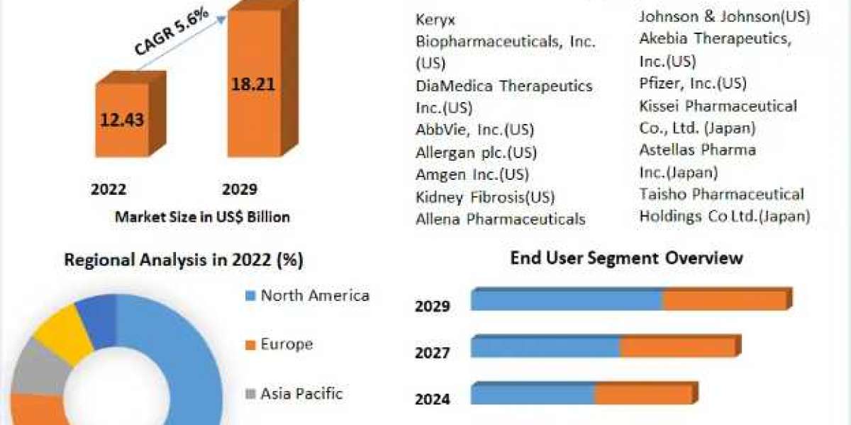 Chronic Kidney Disease Drugs Market Size Study, By Type, Application and Regional Forecasts 2029.