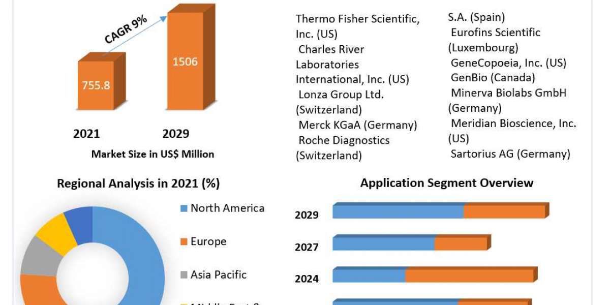 Mycoplasma Testing Market Size, Share, Global Industry Analysis, Growth, Trends, Drivers, Opportunity and Forecast 2029