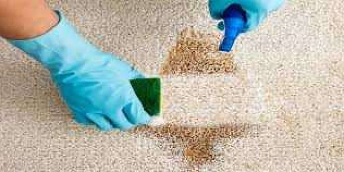 How to Choose the Right Carpet Cleaning Company for Your Commercial Property