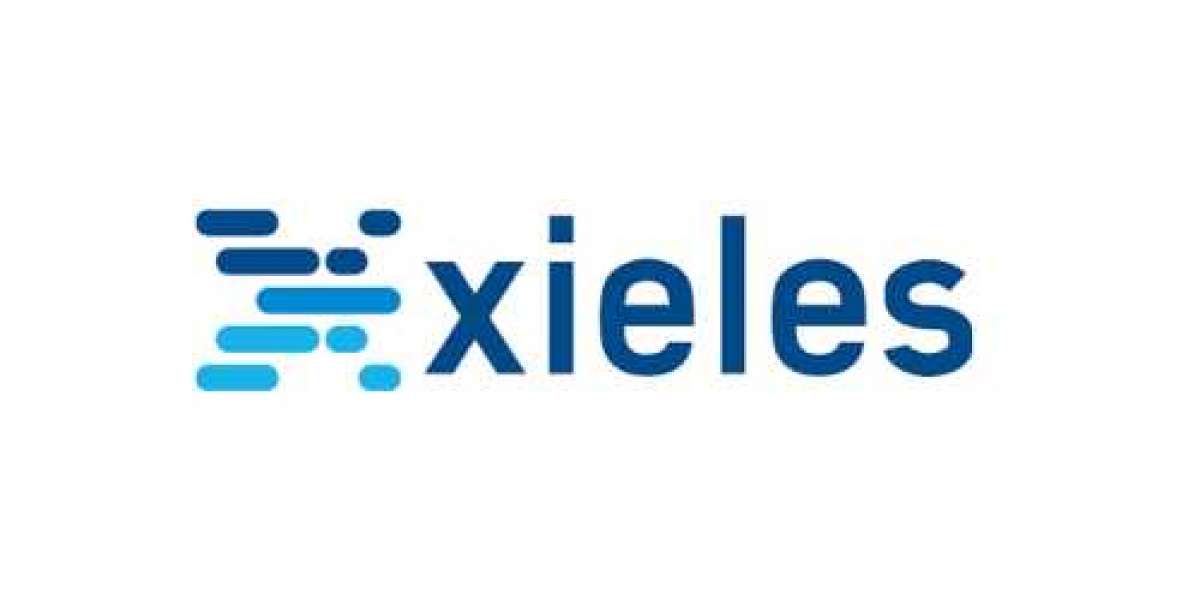 A Comprehensive Overview of Web Hosting Support Services by Xieles