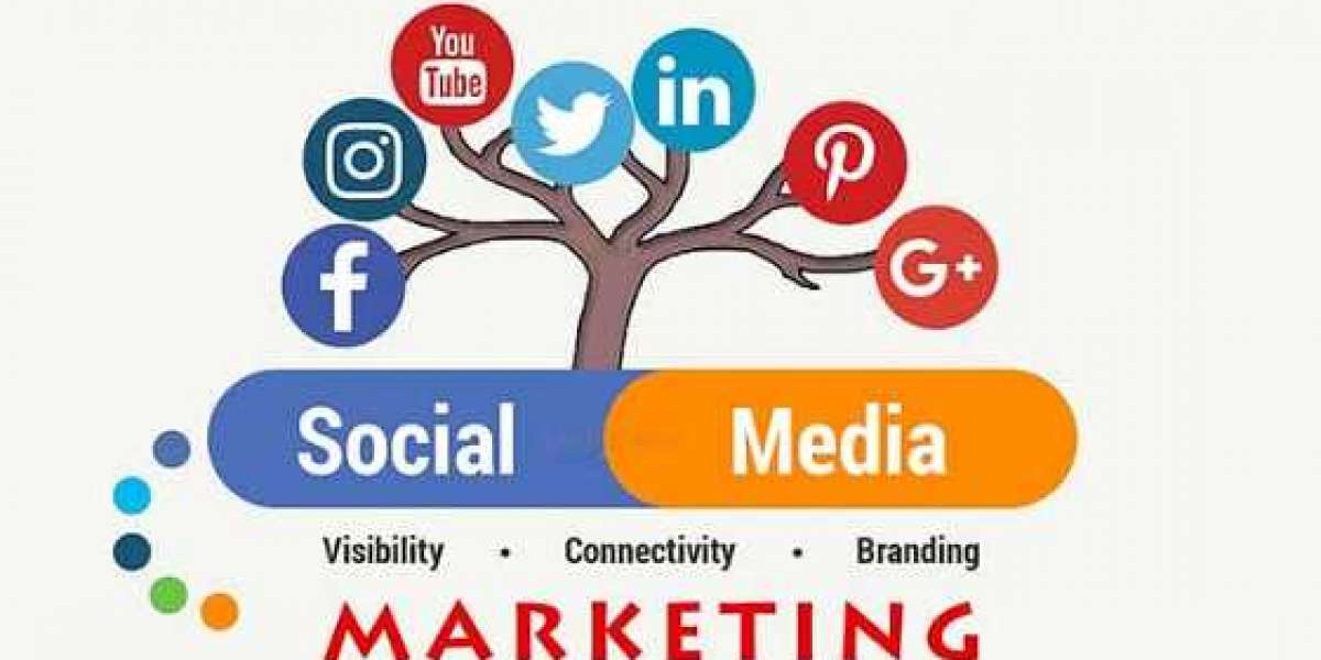 If you are looking for a social media marketing agency in Bareilly