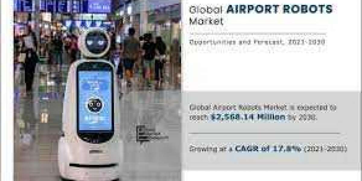 Airport Robots Market Big Changes to Have Big Impact By 2030