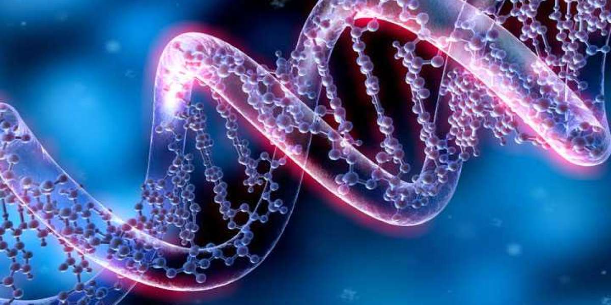 Market Analysis of the North America DNA Sequencing Industry
