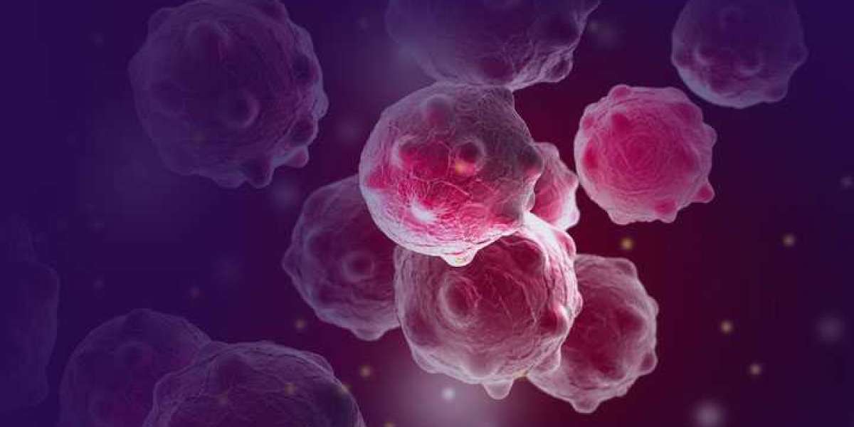 Cancer Stem Cells Market is Growing in Huge Demand | Top Players, Application and Forecast to 2026